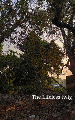 The Lifeless twig