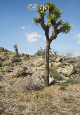 କିଛି ପ୍ରଶ୍ନ