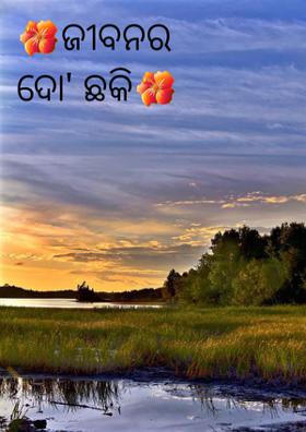 🌺ଜୀବନର ଦୋ' ଛକି🌺