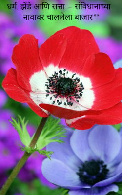 धर्म, झेंडे आणि सत्ता – संविधानाच्या नावावर चाललेला बाजार**