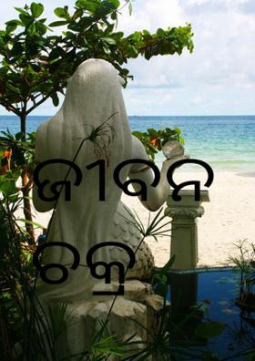 ଜୀବନ ଚକ୍ର