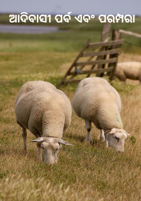 ଆଦିବାସୀ ପର୍ବ ଏବଂ ପରମ୍ପରା