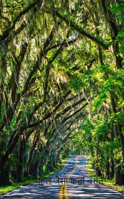 "पहले जैसा कहाँ बसंत"