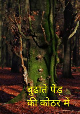 बुढ़ाते पेड़ की कोठर में
