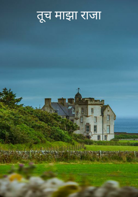 तूच माझा राजा
