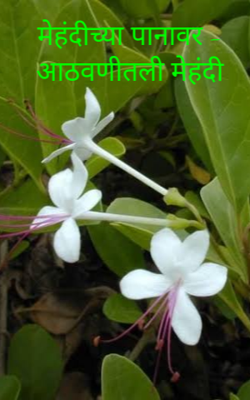 मेहंदीच्या पानावर - आठवणीतली मेहंदी