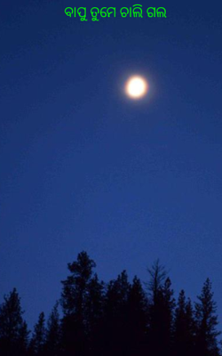 ବାପୁ ତୁମେ ଚାଲି ଗଲ