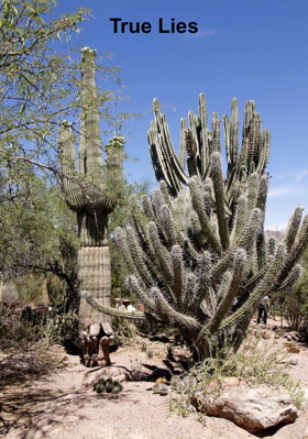 True Lies