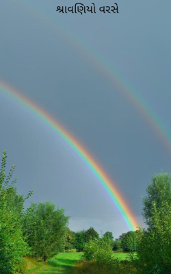 શ્રાવણિયો વરસે