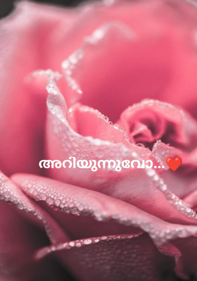 അറിയുന്നുവോ