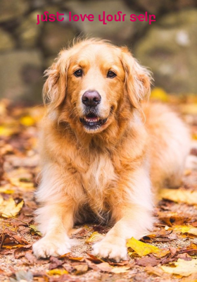 Յմsե Lօѵҽ Վօմɾ Sҽlբ