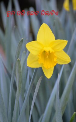 ତୁମ ପରି ଛୋଟ ପିଲାଟିଏ