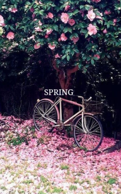Spring