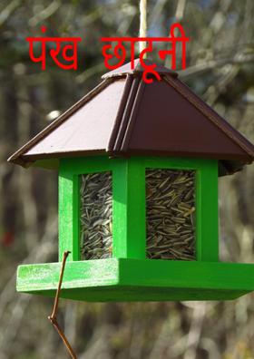 पंख  छाटूनी