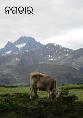 ନଗଡାର ଦୁଃଖ