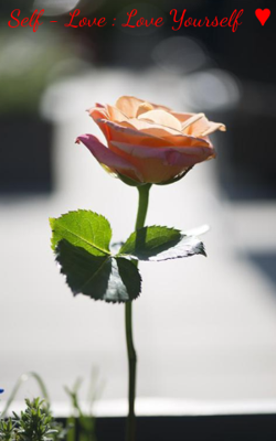 Self - Love ♥