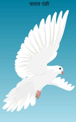 घायल पंछी