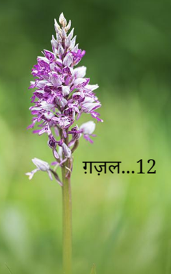 ग़ज़ल...12