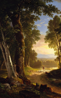 Nature