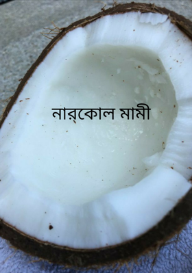 নারকোল মামী