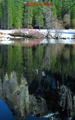 હાલતાં ચાલતાં