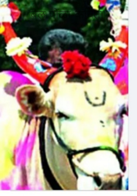 बैल पोळा