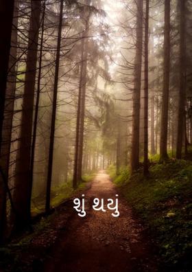 શું થયું