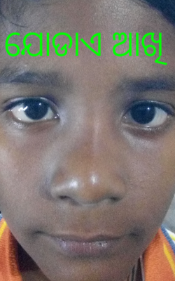 ଯୋଡାଏ ଆଖି