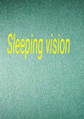 Sleeping Vision