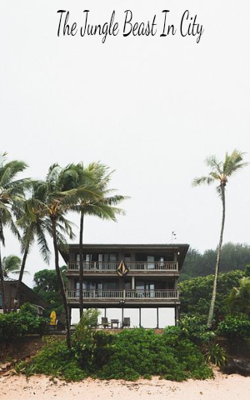 The Jungle Beast In The City