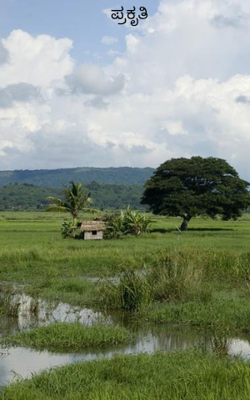 ಪ್ರಕೃತಿ