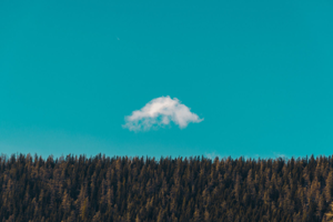 Accept everything that comes in your life 
even though it's a problem,
Don't ask "WHY!"
Becz every moment has creation and so
YOU are selected.

By : Fuzel.Gora