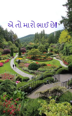 એ તો મારો ભાઈ છે!