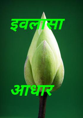 इवलासा आधार