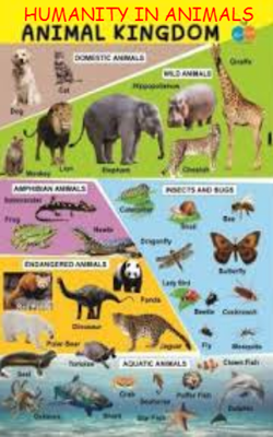 Humanity In Animals