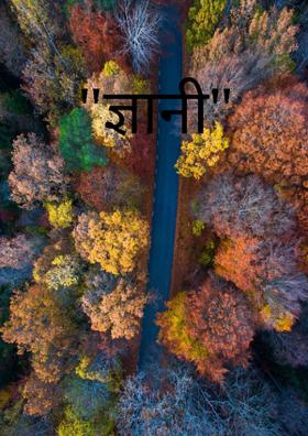 "ज्ञानी"