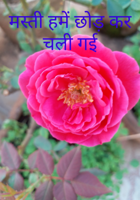 मस्ती हमें छोड़ कर चली गई