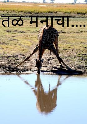 तळ मनाचा........