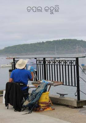 ଚପଲ କହୁଛି