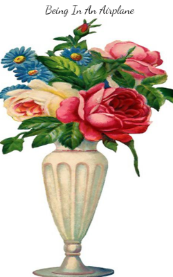 Being In An Airplane