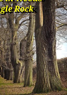Battle In Woods Of Eagle Rock
