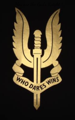 You Are The God's Knight !