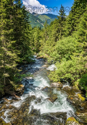 ସୁସ୍ଥ ପରିସ୍ଥାନ ଆମ ସୁରକ୍ଷା