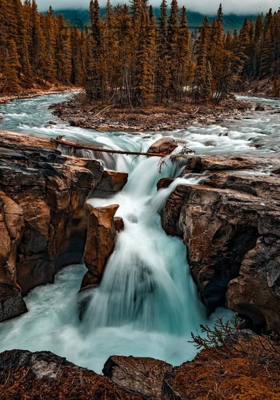 मौत के सौदागर