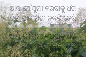 ଆସ ମୌସୁମୀ ବରଷାକୁ ଧରି
ଭିଜି ଯାଉ ମହୀ ନକରି ଡେରି
⛈️⛈️⛈️⛈️⛈️⛈️⛈️⛈️
ଆସ ମୌସୁମୀ ବରଷାକୁ ଧରି
ଭିଜି ଯାଉ ମହୀ ନକରି ଡେରି
ନିଦାଘର କୋପ ଯିବ ଅପସରି
ବରଷିବ ଯେବେ ତୁମେ ଝିରିଝିରି
ଶୀତଳତା ଭରି ଯିବ ଏ ଜଗତେ
ଚତୁର୍ଦ୍ଦିଗେ ଖେଳିଯିବ ଖୁସି ଲହରୀ। 
                  ନାରାୟଣ ଚନ୍ଦ୍ର ନାୟକ 
                  ଜାମସେଦପୁର



