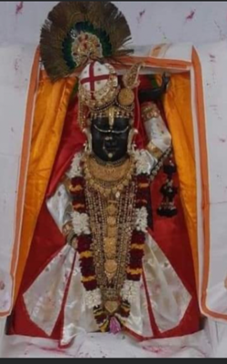 मेरा कृष्णा