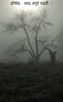 शीर्षक:- शब्द अपुरे पडती...!