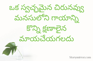 ఒక స్వచ్ఛమైన చిరునవ్వు
మనసులోని గాయాన్ని
కొన్ని క్షణాలైన మాయచేయగలదు