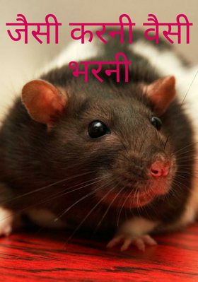 जैसी करनी वैसी भरनी