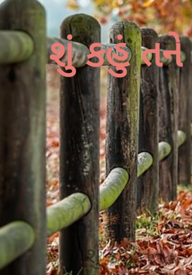 શું કહું તને